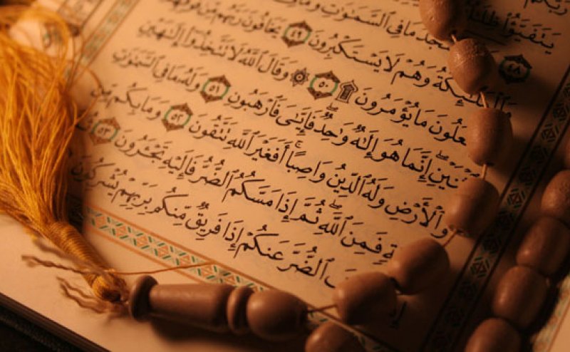 Surah Al Anaam