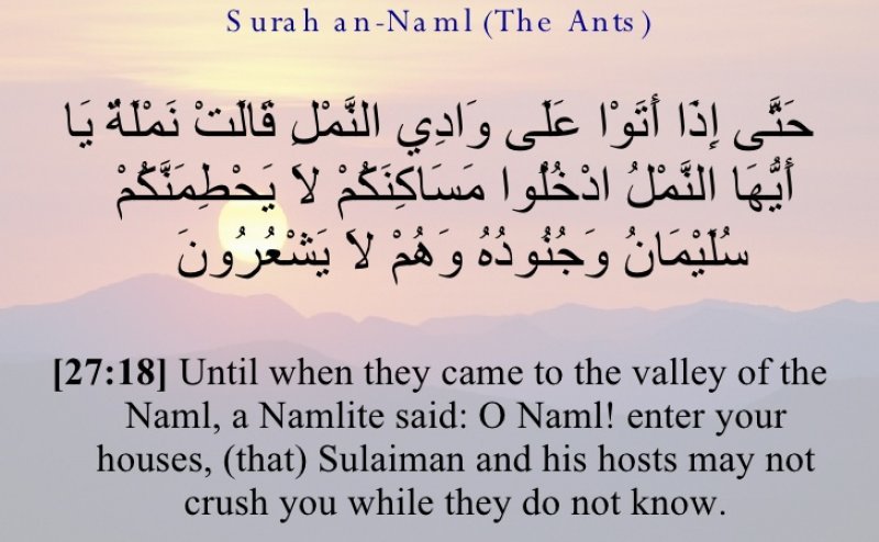 Surah An Naml