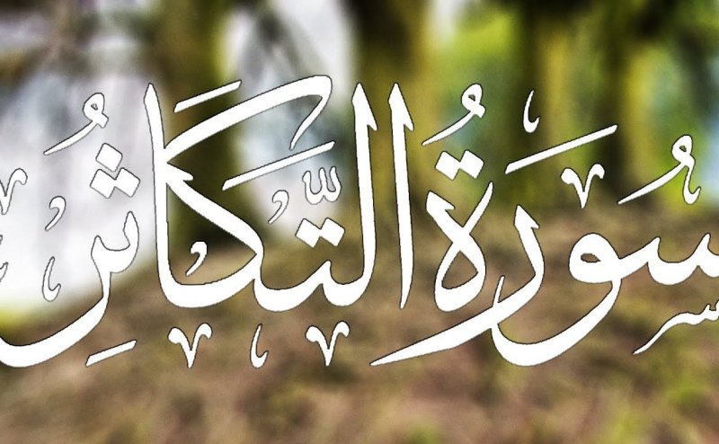 Surat Al Takatsur : Spiritual Reflections: 'Surah Al-Takathur': A Commentary : We did not find results for:
