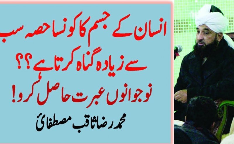 Insan K Jism Ka Konsa Hissa