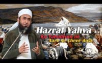 Hazrat Yahya Ko Jab Yahudiyon Ne Aare Se Cheer Diya by Maulana Tariq Jameel by Tariq Jameel